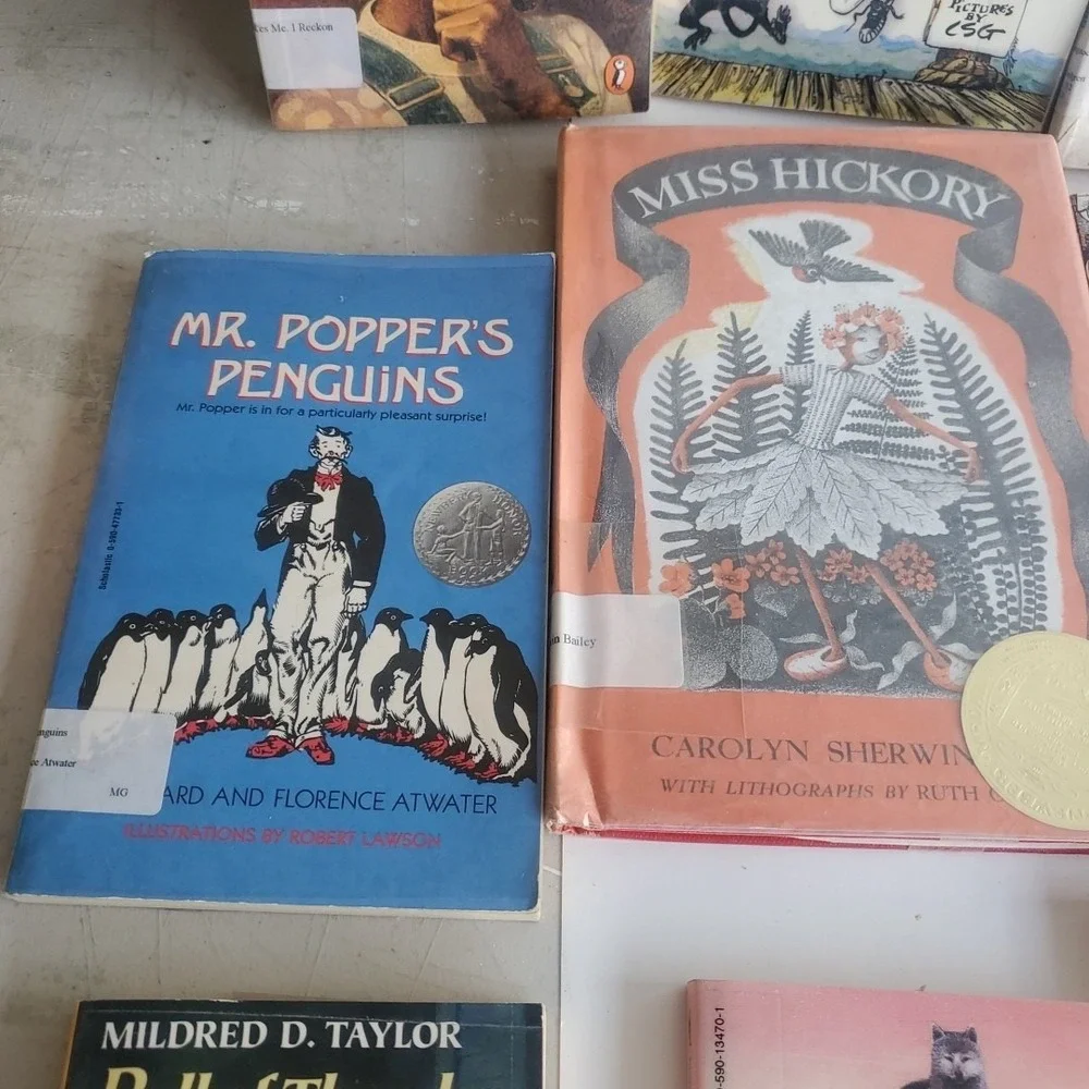 Lot of 24 Level  5 RL~ Reading‎ Learn Books MIX Youth Middle School PB HC HB